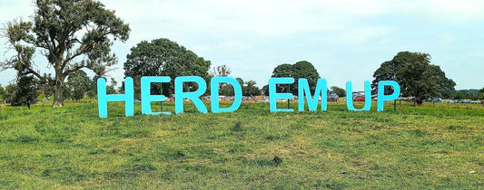 New: Pokeboo Field Notes #001