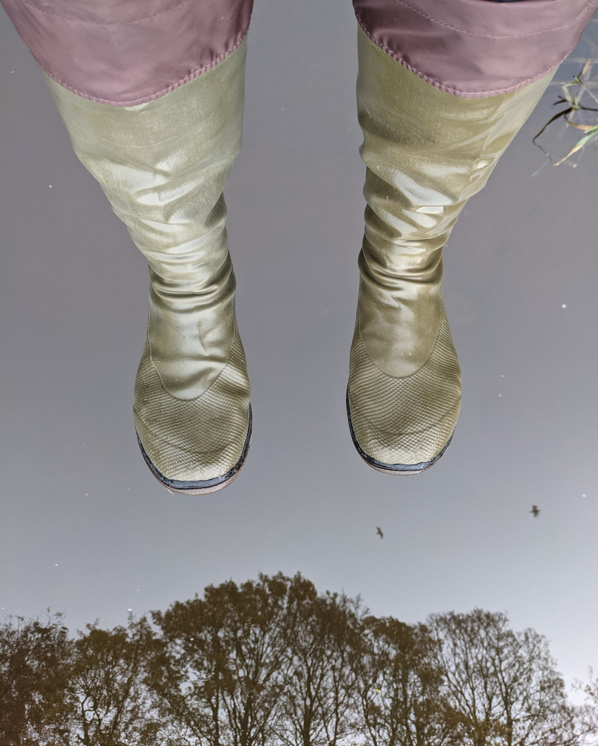 A pair of khaki Pokeboo rubber boots worn shown reflected in a puddle of water with trees visible at the bottom.