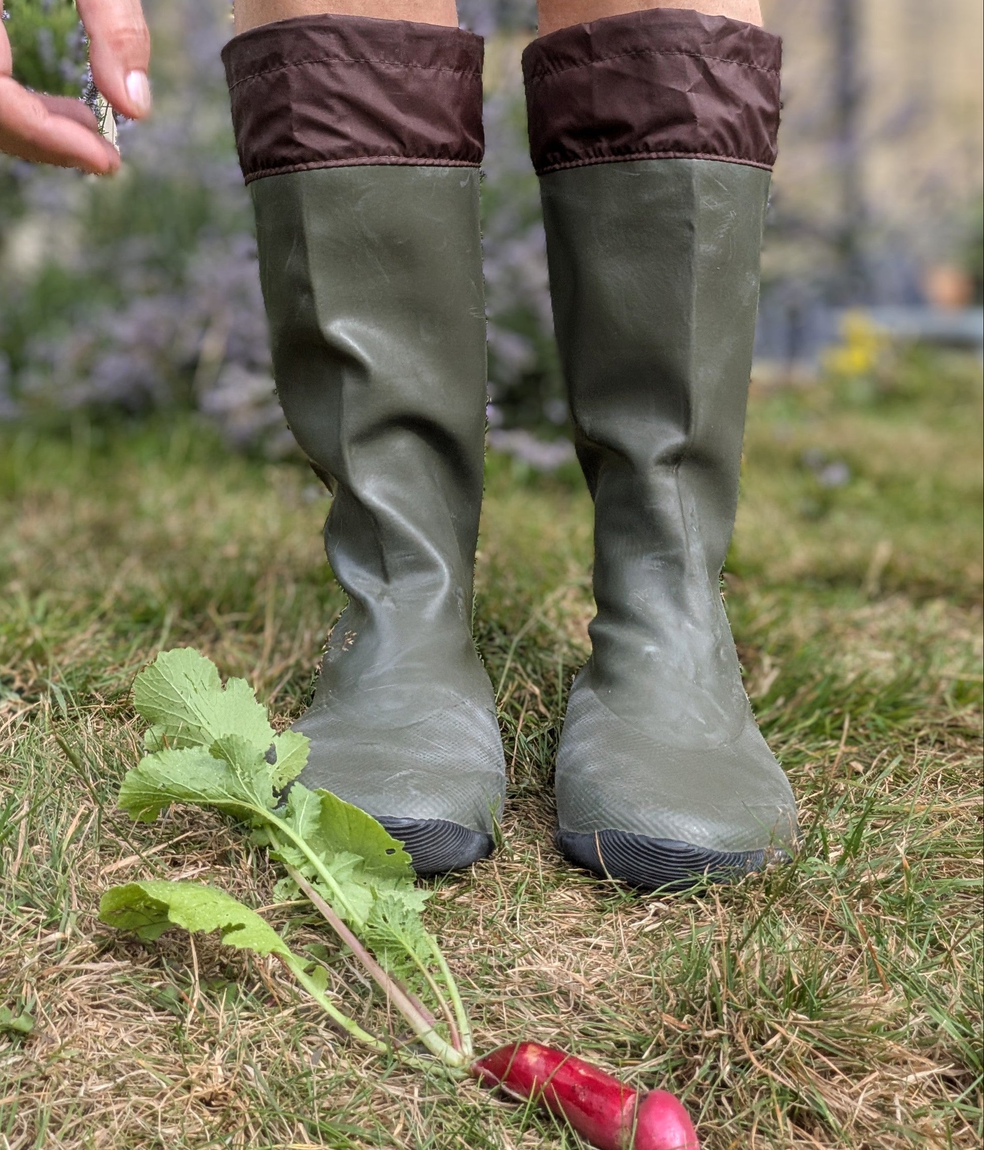 A person wearing khaki green rubber rain boots with dark brown cuffs stands on grass outdoors, with a radish on the ground nearby.