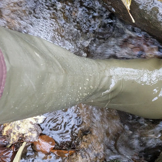 A video of khaki Pokeboo in some water and a running stream