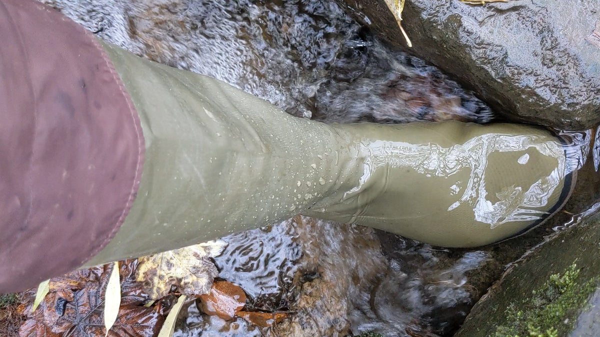 A video of khaki Pokeboo in some water and a running stream