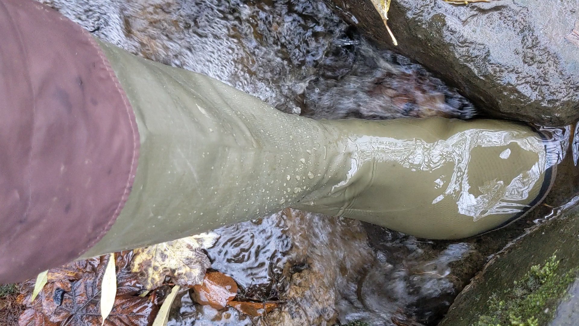 A video of khaki Pokeboo in some water and a running stream